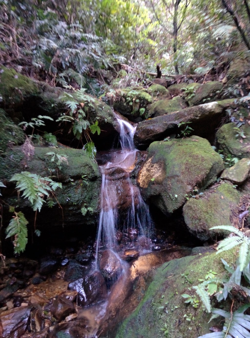 Six Foot Track | park | Nellies Glen Rd, Katoomba NSW 2780, Australia | 0299754553 OR +61 2 9975 4553