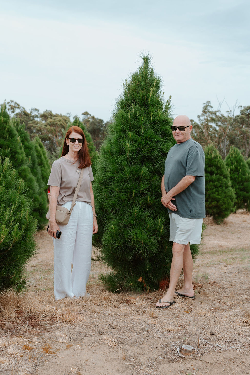 Wedderburn Christmas Trees | 64 Blackburn Rd, Wedderburn NSW 2560, Australia | Phone: 0402 086 032