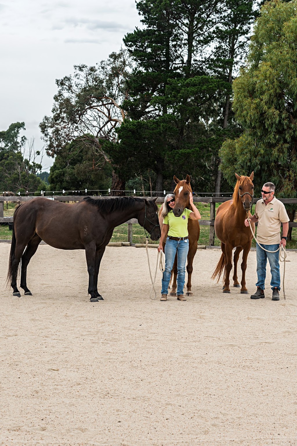 Ranges Animal Biomechanical Medicine | health | 66 Wisemans Ln, Newham VIC 3442, Australia | 0459055245 OR +61 459 055 245