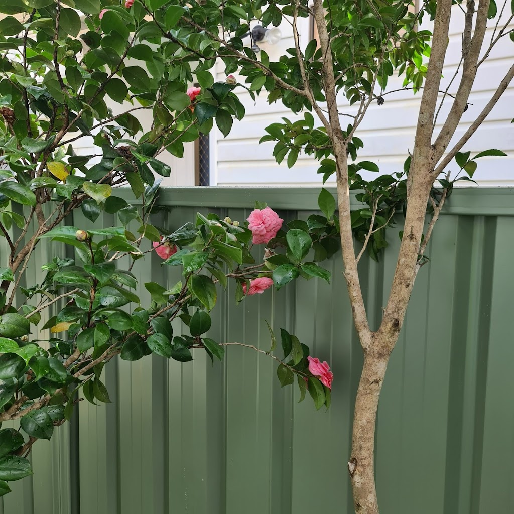 Precision Fencing Newcastle | 144 Croudace Rd, Elermore Vale NSW 2287, Australia | Phone: 0427 402 601