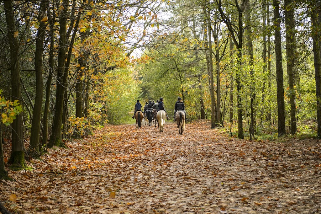 Highlands Equine Trail Adventures ( on your own horse) | 7007 Illawarra Hwy, Moss Vale NSW 2577, Australia | Phone: 0447 224 473