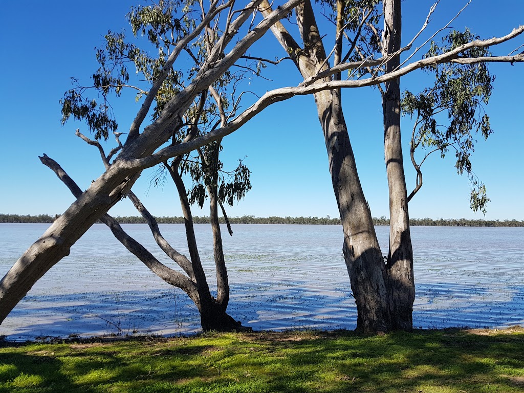 Lake Broadwater Conservation Park | park | Lake Broadwater Road, Dalby QLD 4405, Australia | 0746633562 OR +61 7 4663 3562