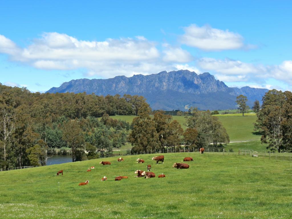 Sheffield Fruit & Veg | store | 60 Main St, Sheffield TAS 7306, Australia | 0364911349 OR +61 3 6491 1349