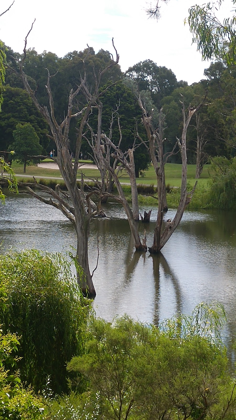 Hays Paddock | park | Leason St, Kew East VIC 3102, Australia