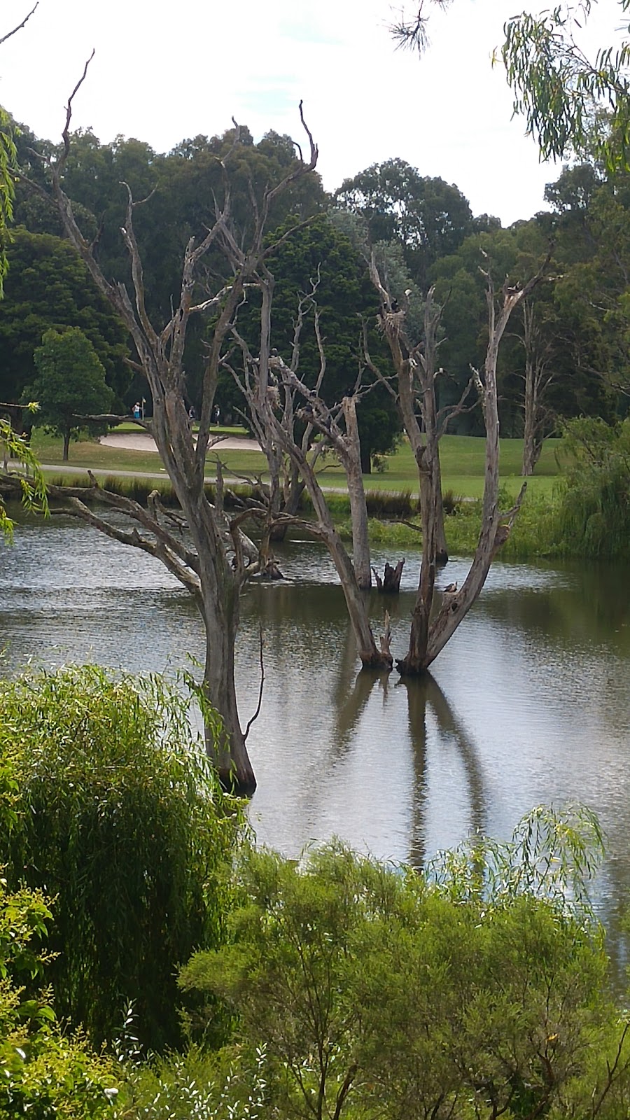 Hays Paddock | Leason St, Kew East VIC 3102, Australia