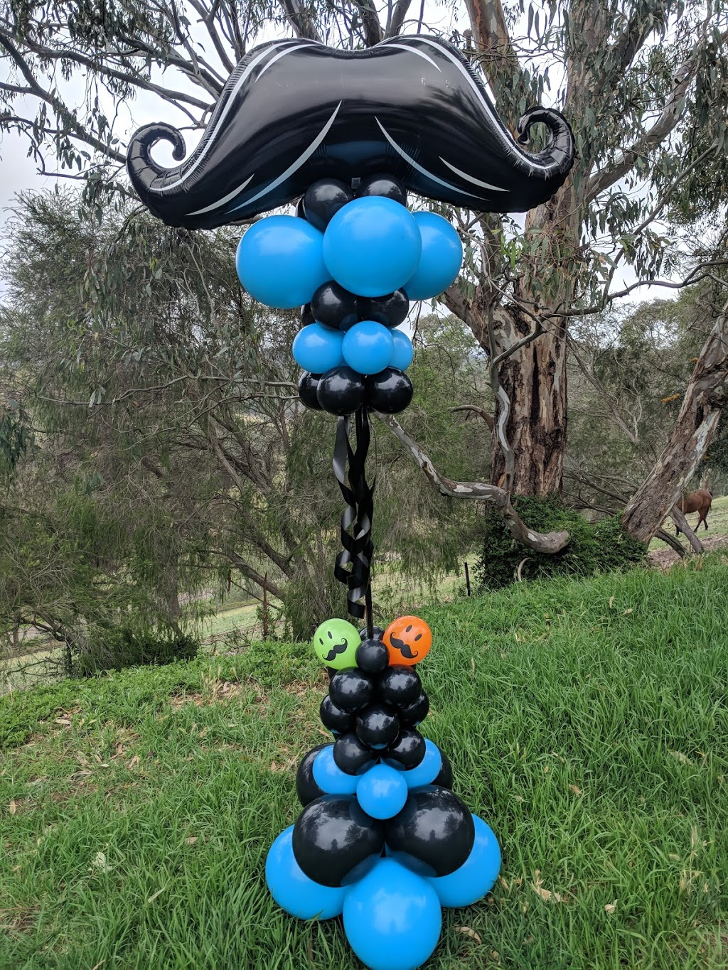 Beyond Balloons | 500 Broad Gully Rd, Diamond Creek VIC 3089, Australia | Phone: 0414 393 302