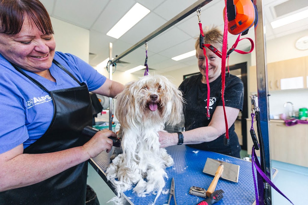 AAPS Grooming Keysborough | 26 Aegean Ave, Keysborough VIC 3173, Australia | Phone: (03) 9798 8415