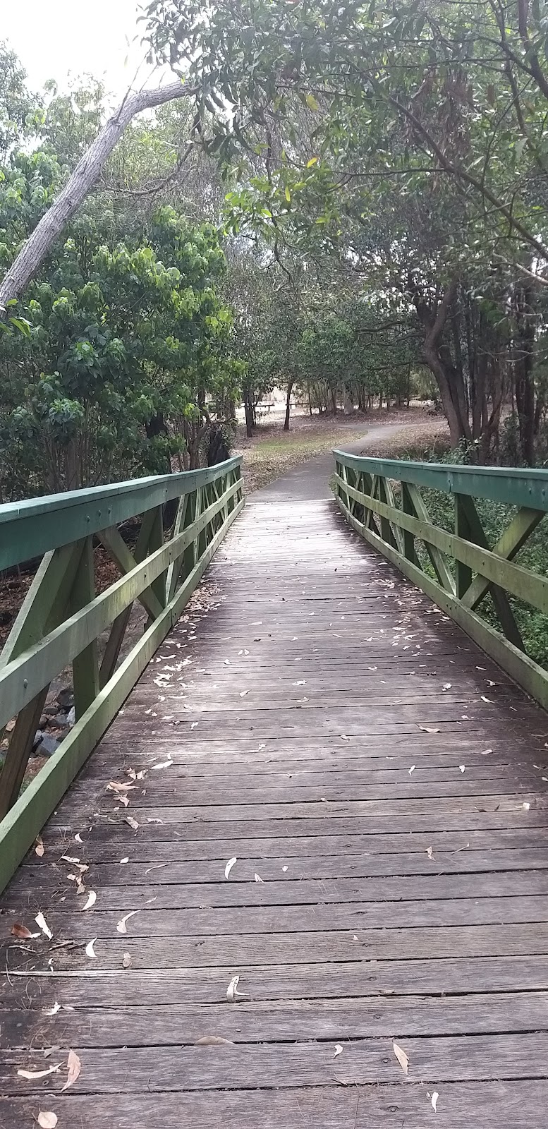 Brosnan Drive Park | Brosnan Drive Park, 28 Brosnan Dr, Capalaba QLD 4157, Australia | Phone: (07) 3829 8999