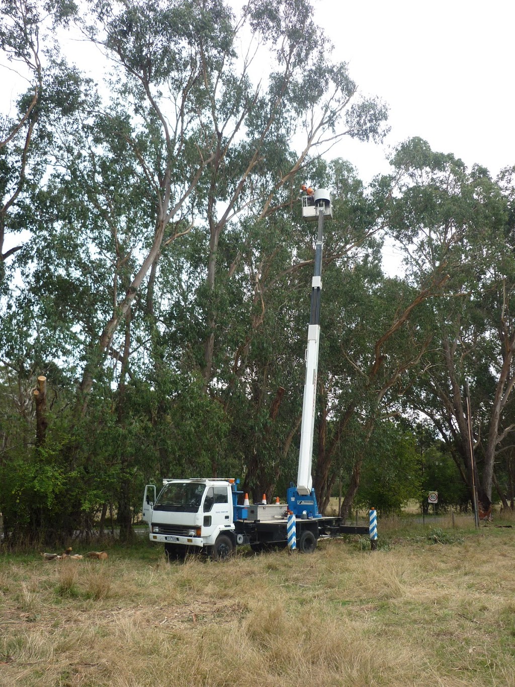 ezy tree solutions |  | Maurice Rd, Wandin North VIC 3139, Australia | 0438979022 OR +61 438 979 022