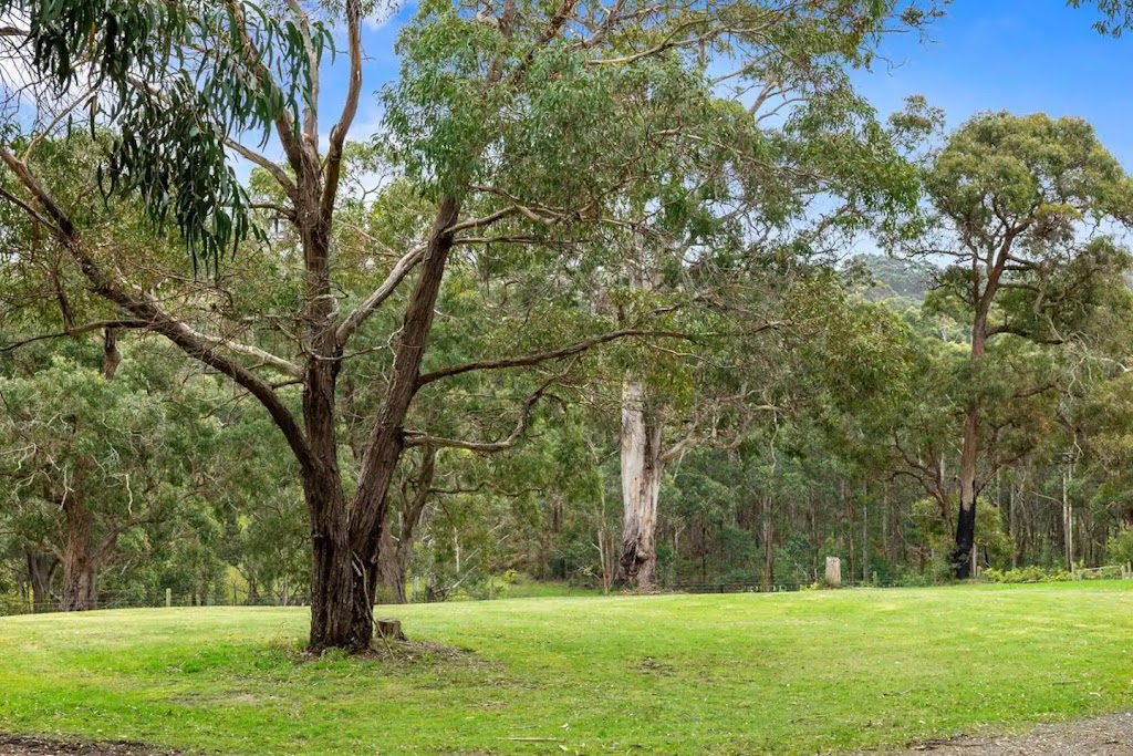 Runnymede Farm | 1700 Deans Marsh-Lorne Rd, Lorne VIC 3232, Australia | Phone: 0407 276 477