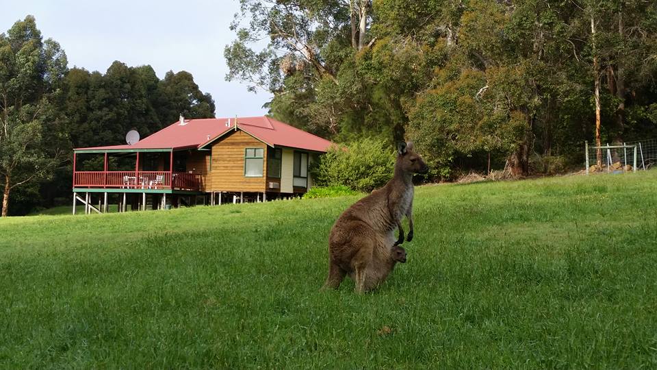 Walpole Wilderness Resort | 170 Gardiner Rd, Walpole WA 6398, Australia | Phone: (08) 9840 1481