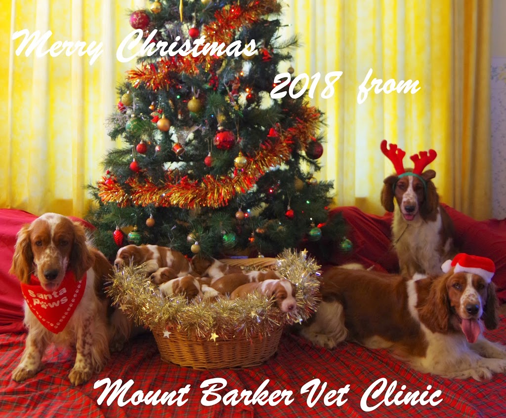 Mount Barker Veterinary Clinic | pharmacy | 204 Flaxley Rd, Mount Barker SA 5251, Australia | 0883911404 OR +61 8 8391 1404