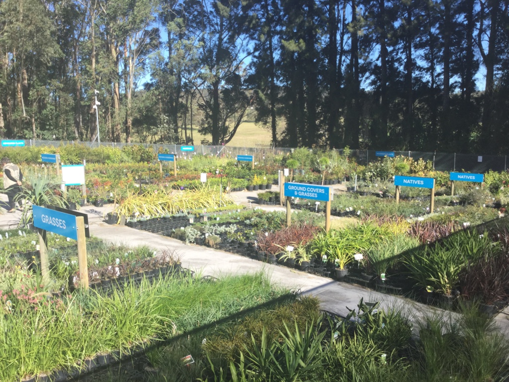 Berry Wholesale Nursery | 45 Agars Ln, Berry NSW 2535, Australia | Phone: (02) 4464 1102