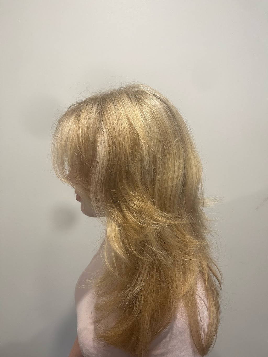 The Hair Workshop - Rachele | 1-3 Susan Ct, Cornubia QLD 4130, Australia | Phone: 0420 441 288