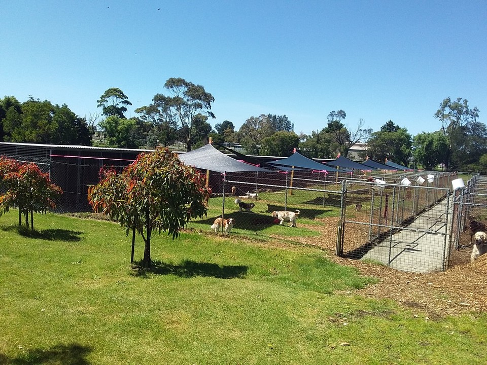 Cranbourne Boarding Kennels | 118 Craig Rd, Devon Meadows VIC 3977, Australia | Phone: (03) 5998 2595