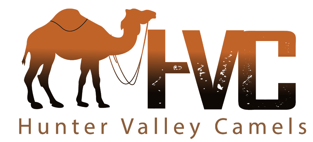 Hunter Valley Camels | 1618 Denman Rd, Denman NSW 2333, Australia | Phone: 0408 677 741