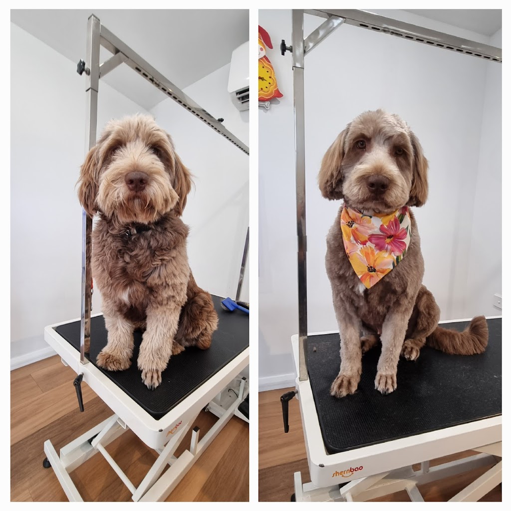 Alpine Doggy DTailing | 2 Mathews St, Myrtleford VIC 3737, Australia | Phone: 0456 698 455