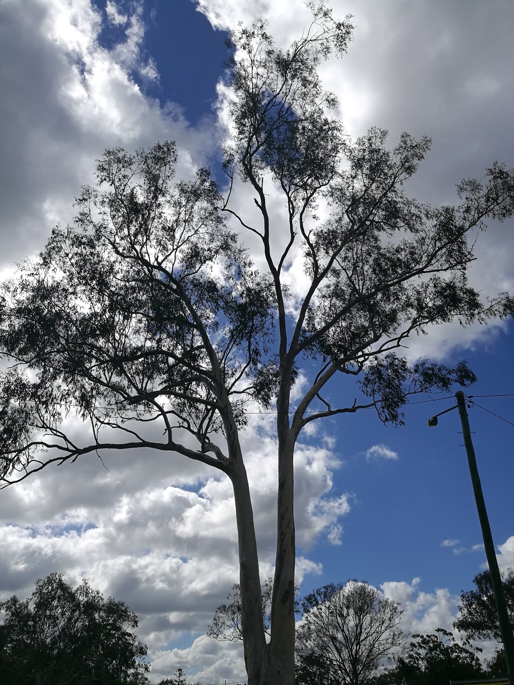 Ken May Memorial Park | park | Slacks Creek QLD 4127, Australia