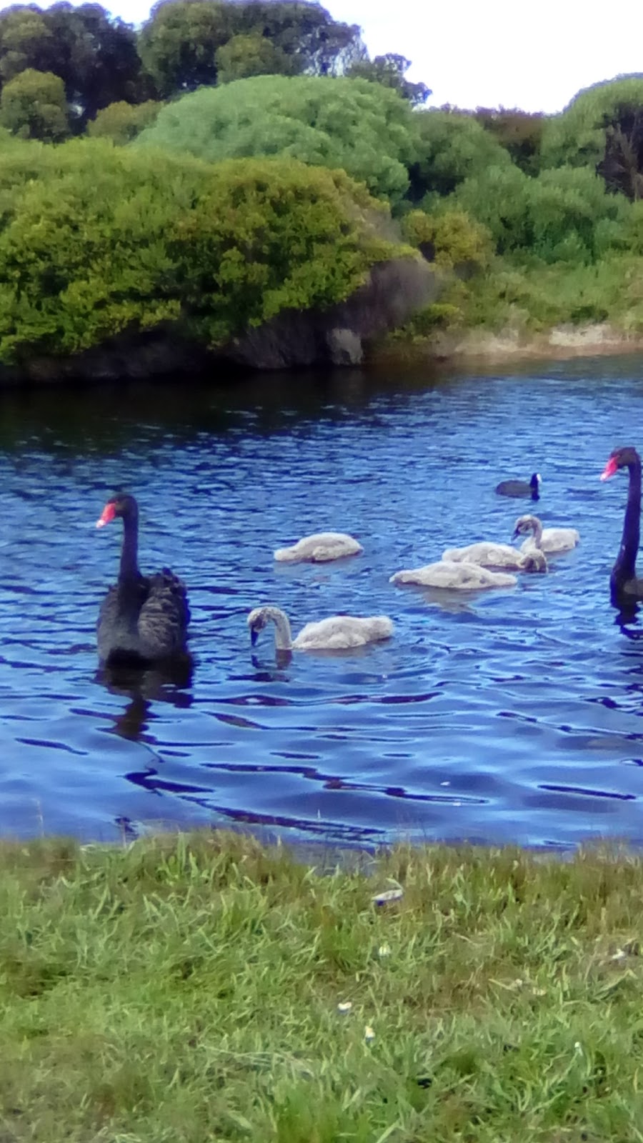 Russell Clark Reserve | park | Port Fairy VIC 3284, Australia