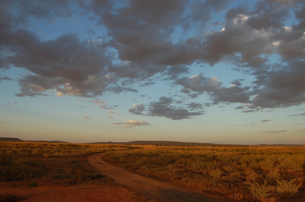 Fivebough and Tuckerbil Wetlands | Leeton NSW 2705, Australia | Phone: (02) 6960 1343