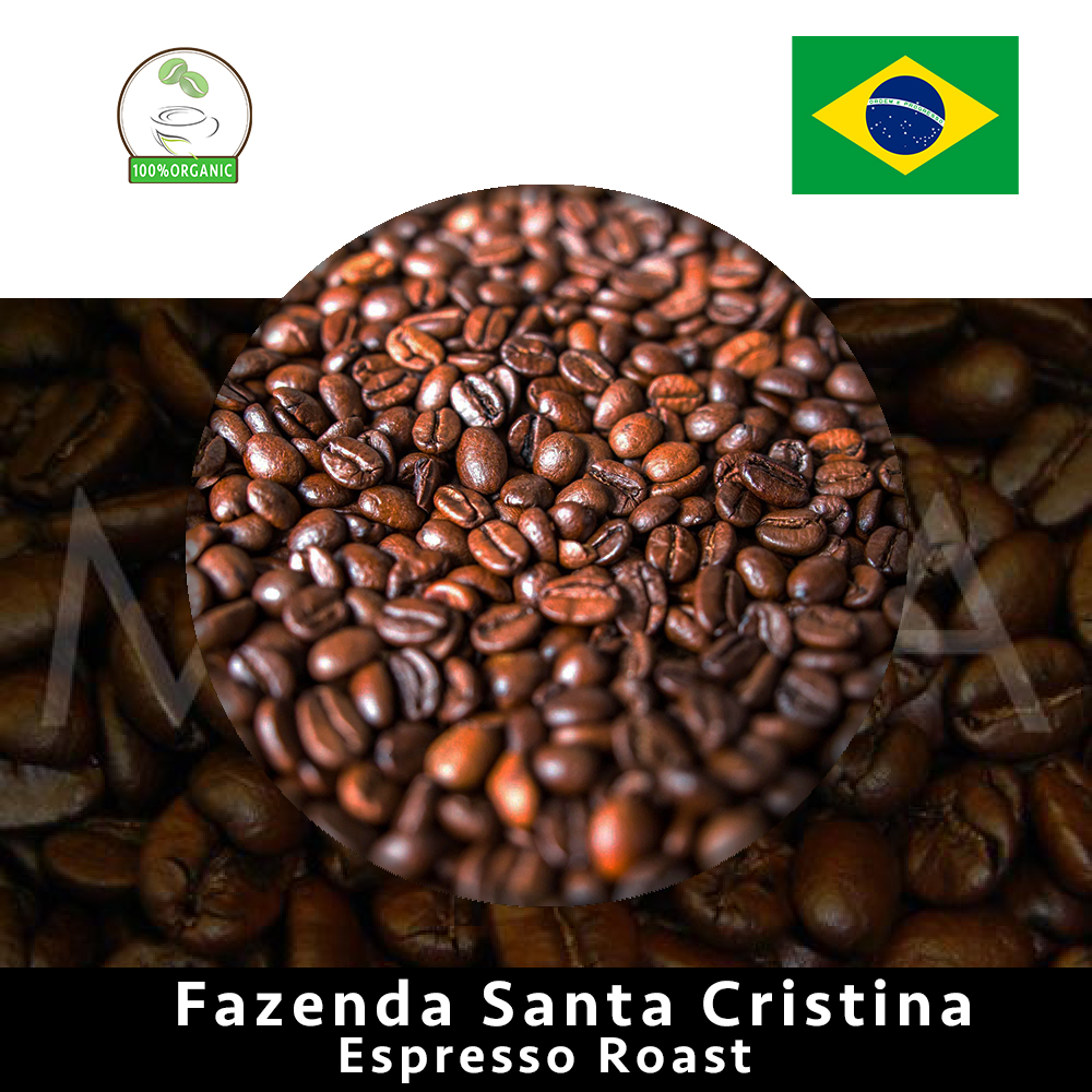 MIFEIA Coffee Roast Australia Pty Ltd | cafe | 4/31 Dominions Rd, Ashmore QLD 4214, Australia | 0755649868 OR +61 7 5564 9868