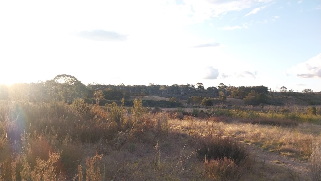 Willowleaf Properties P/L | 21 Paddys Cl, Lower Boro NSW 2580, Australia | Phone: 0437 977 861