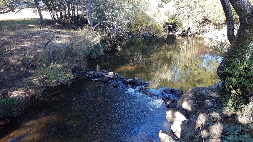 Bracknell River Reserve | park | Bracknell Reserve Rd, Bracknell TAS 7302, Australia