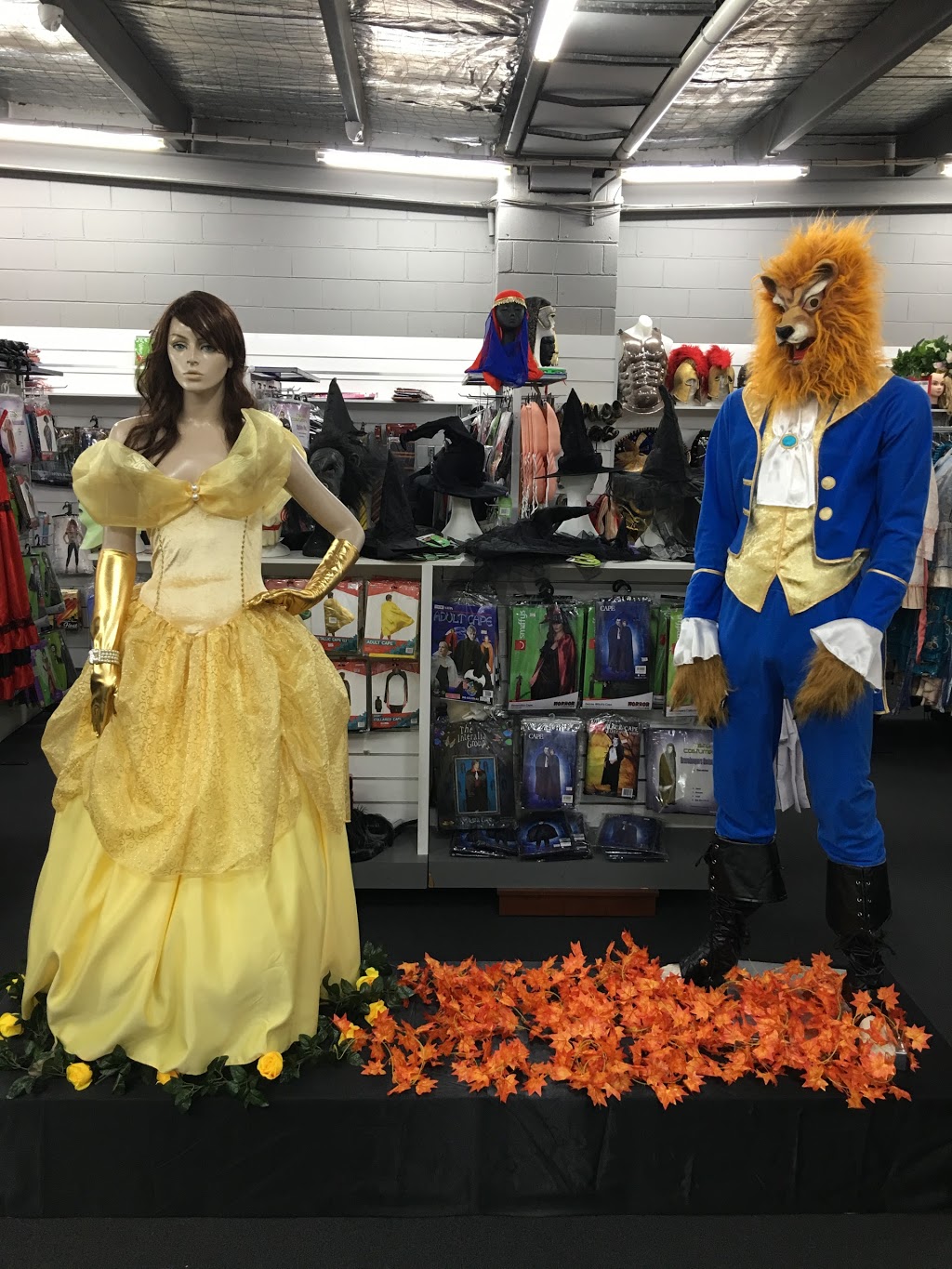 Costume Wonderland/Costume Bazaar | 911 Nepean Hwy, Bentleigh VIC 3204, Australia | Phone: (03) 9557 0222