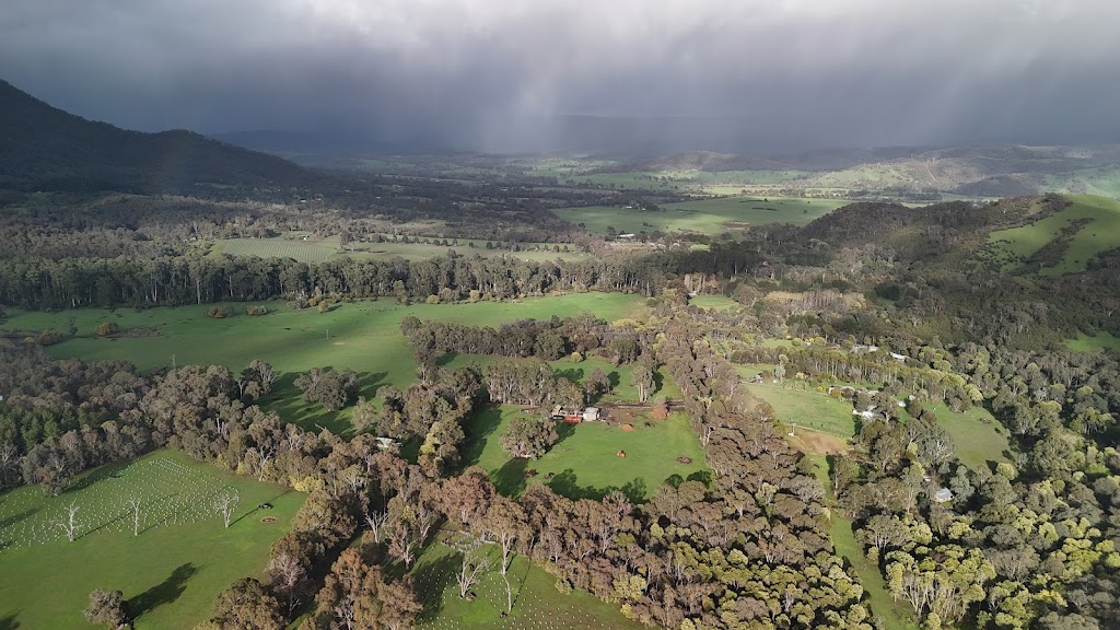 Riverstone Station | 380 Cathedral Ln, Taggerty VIC 3714, Australia | Phone: 0419 464 298