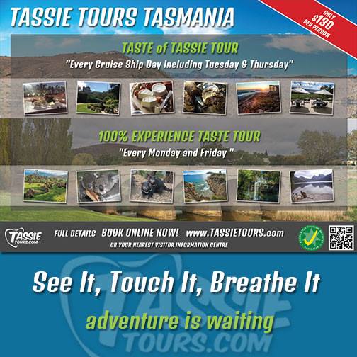 Tassie Tours - Wilderness Tours | 2/480 Cambridge Rd, Mornington TAS 7018, Australia | Phone: 0487 163 624