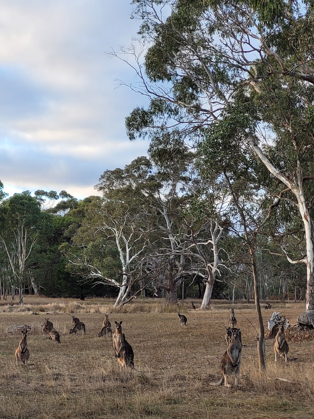 Wannon - Nigretta Community Group | 1 Falkenbergs Rd, Wannon VIC 3301, Australia | Phone: 0468 318 158