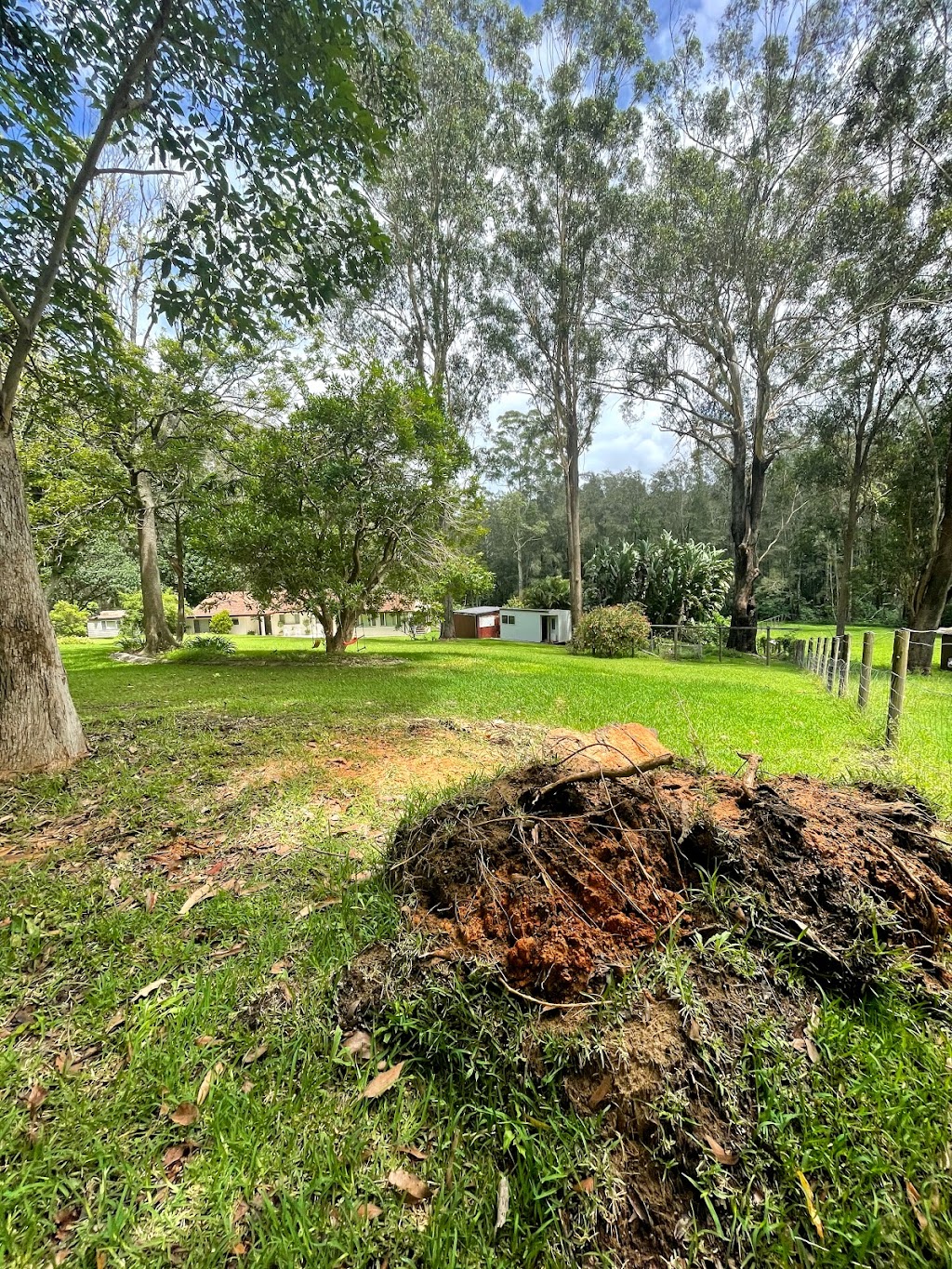Seascape Vegetation Tree Services | 4 Coorella Cct, Port Macquarie NSW 2444, Australia | Phone: 0413 210 483