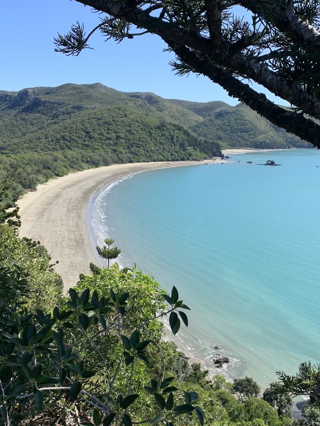 Seaforth Camping Reserve | 22 Palm Ave, Seaforth QLD 4741, Australia | Phone: 0427 373 358