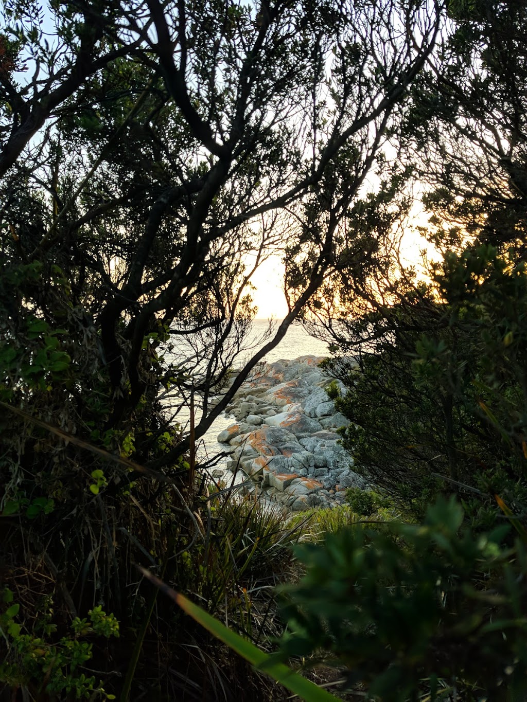 St. Helens Point | park | Beerbarrel Beach Track, Akaroa TAS 7216, Australia