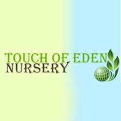 Touch of Eden Nursery | 50 Bubke Cres, Caboolture QLD 4510, Australia | Phone: 0427 445 142