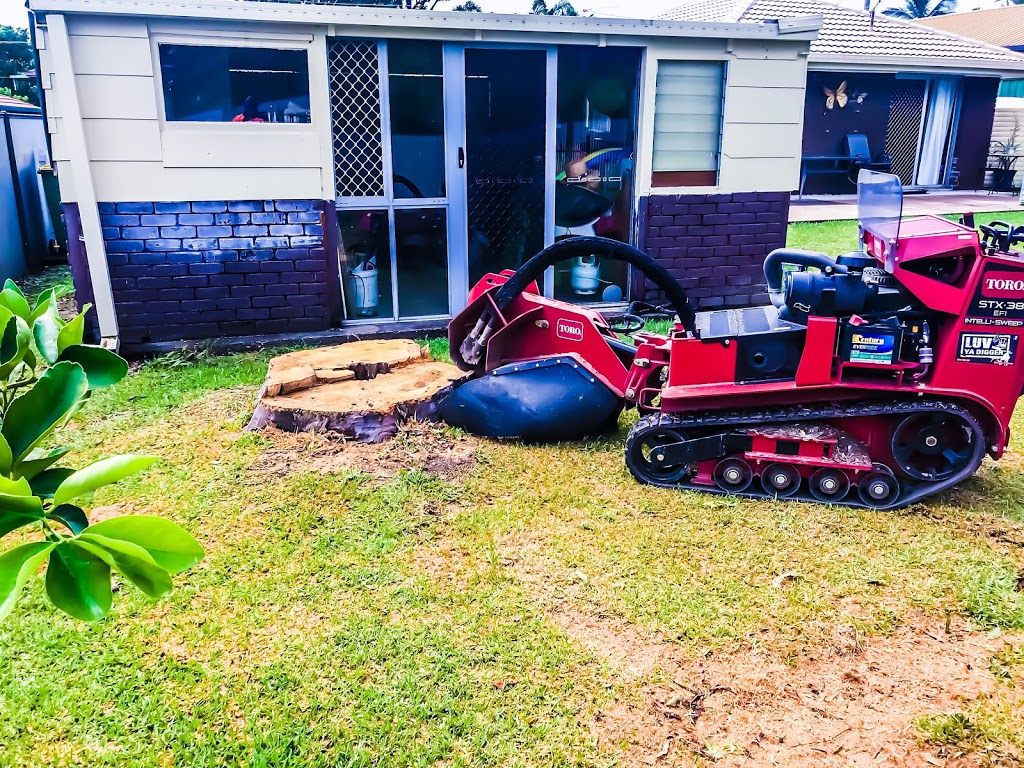 Extreme Stump Grinding | 124 Pub Ln, Greenbank QLD 4124, Australia | Phone: 0477 702 912