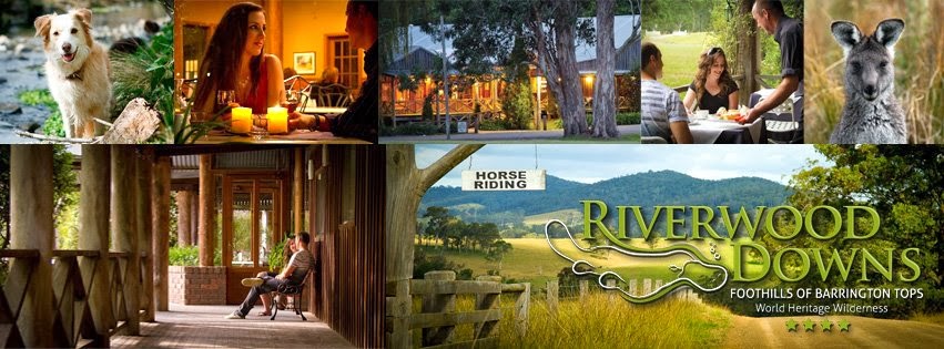 Riverwood Downs | 311 Upper Monkerai Rd, Monkerai NSW 2415, Australia | Phone: 1800 809 772