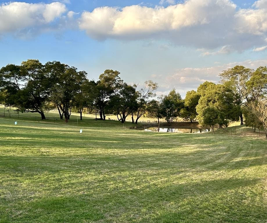 Dales Creek Mowing Service | 128 Dales Creek Ave, Dales Creek VIC 3341, Australia | Phone: 0448 925 551