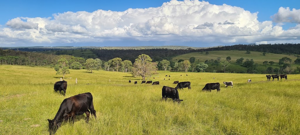 Tinara Pastured Beef | Cause Rd, Pimpimbudgee QLD 4615, Australia | Phone: 0419 002 220