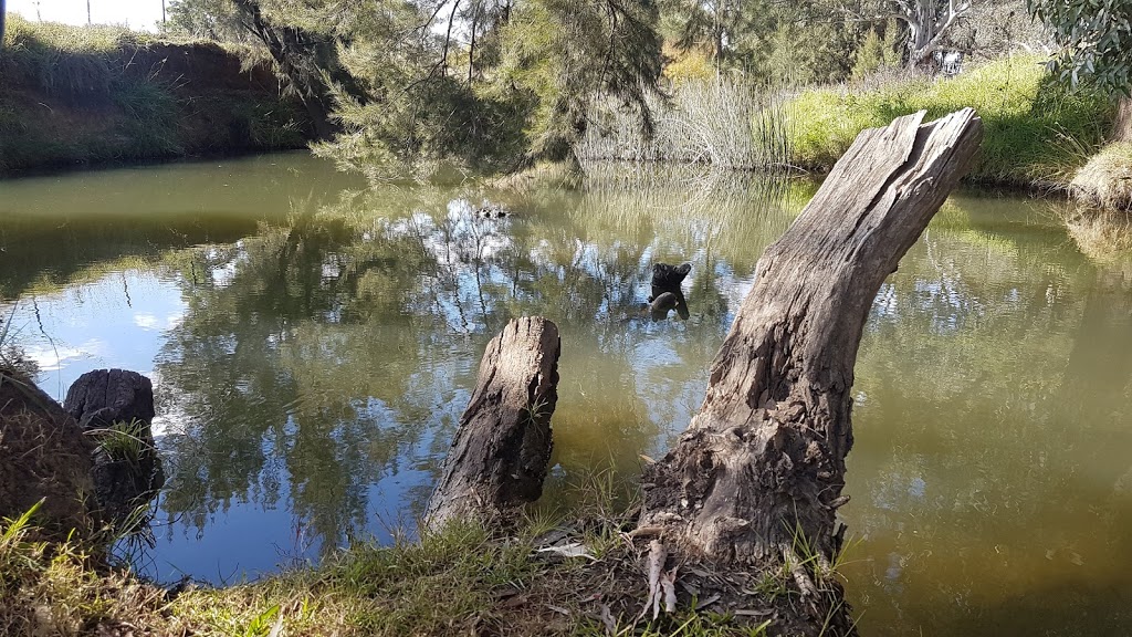 Putta Bucca wetlands | zoo | Putta Bucca NSW 2850, Australia