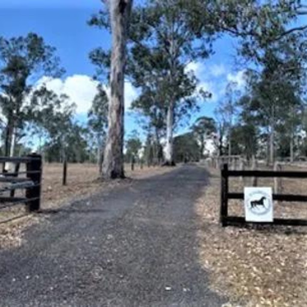 Black Beauty Equine Assisted Therapy | health | Whelan Rd, Bollier QLD 4570, Australia | 0418644039 OR +61 418 644 039