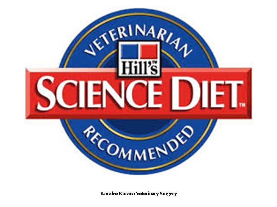 Online Dog & Cat Food - Click and Collect | pet store | 17 Hunter St, Brassall QLD 4305, Australia | 0732016464 OR +61 7 3201 6464