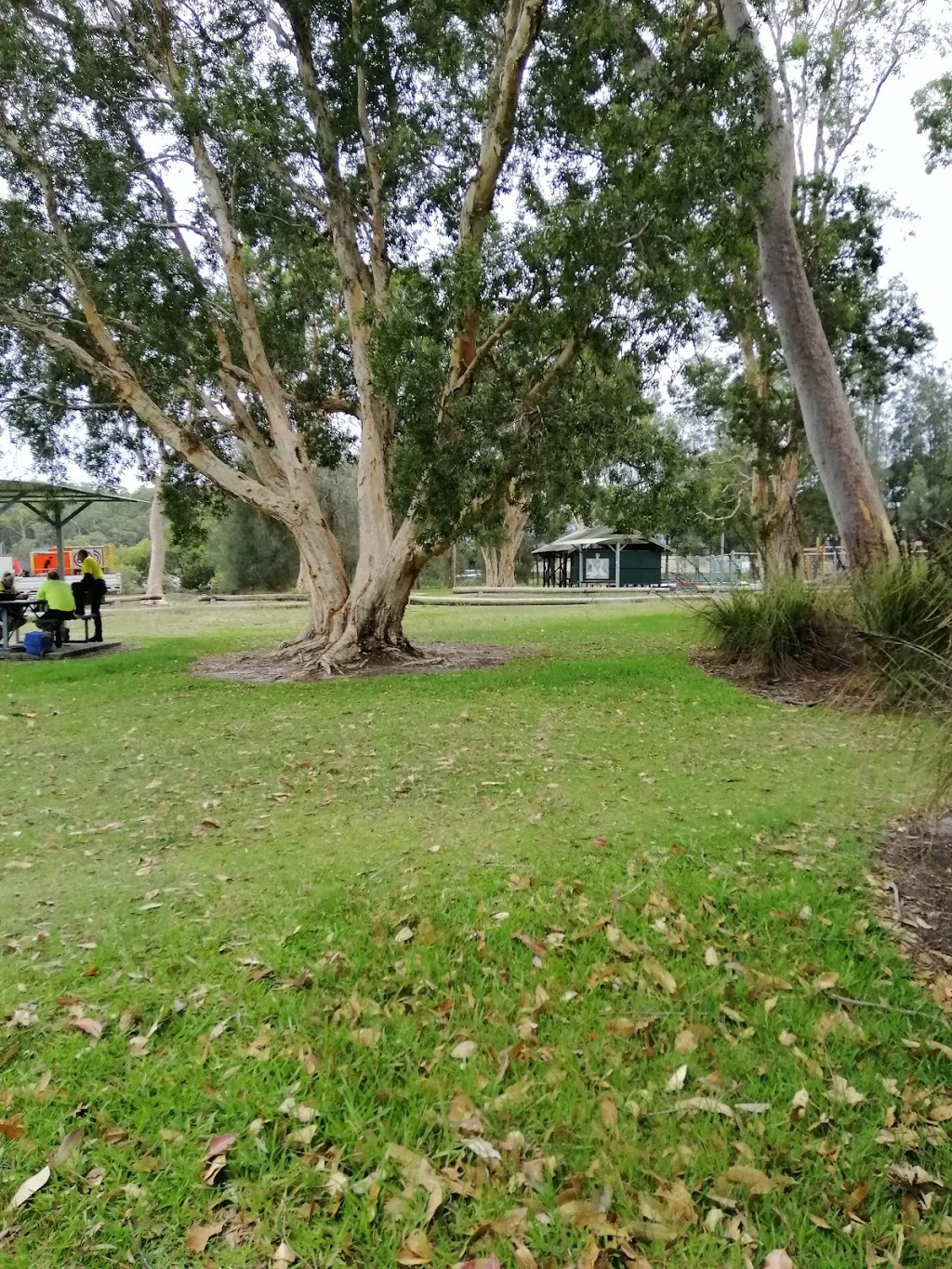 Billy Beach Off-Lead Dog Exercise Area | park | 4 Bay St, Mallabula NSW 2319, Australia