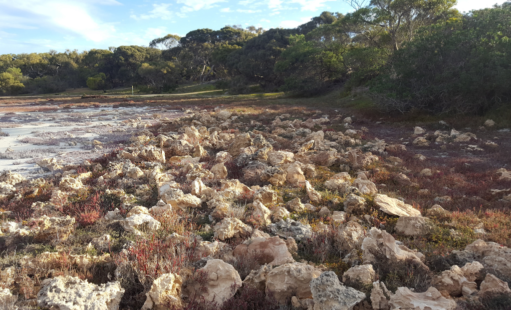 Hooded Plover Campsite | National Park, Hooded Plover Campsite, Loop Road, Coorong SA 5264, Australia