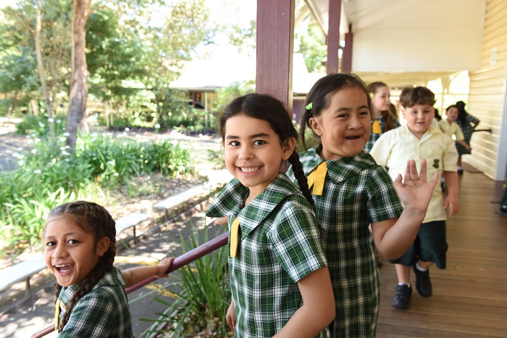 Narwee Public School | school | 61-65 Broadarrow Rd, Narwee NSW 2209, Australia | 0291539756 OR +61 2 9153 9756