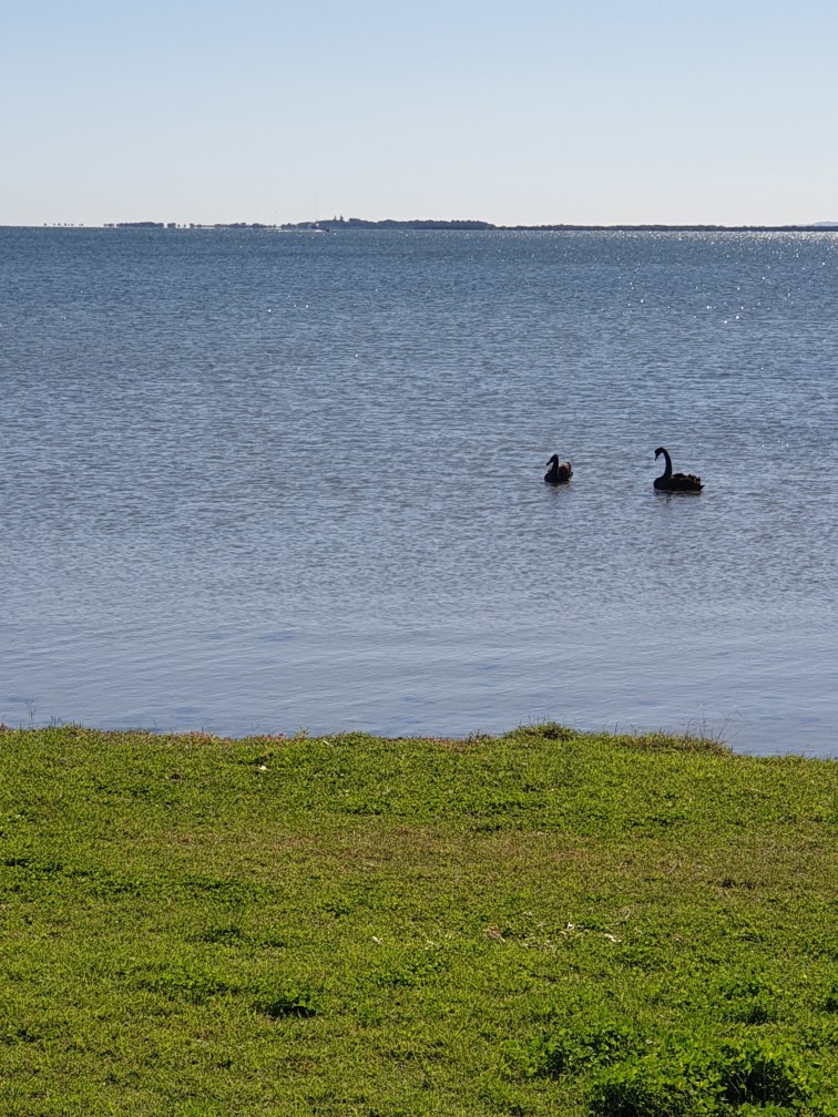 Beth Boyd Park Playground | Thorneside QLD 4158, Australia | Phone: (07) 3829 8999