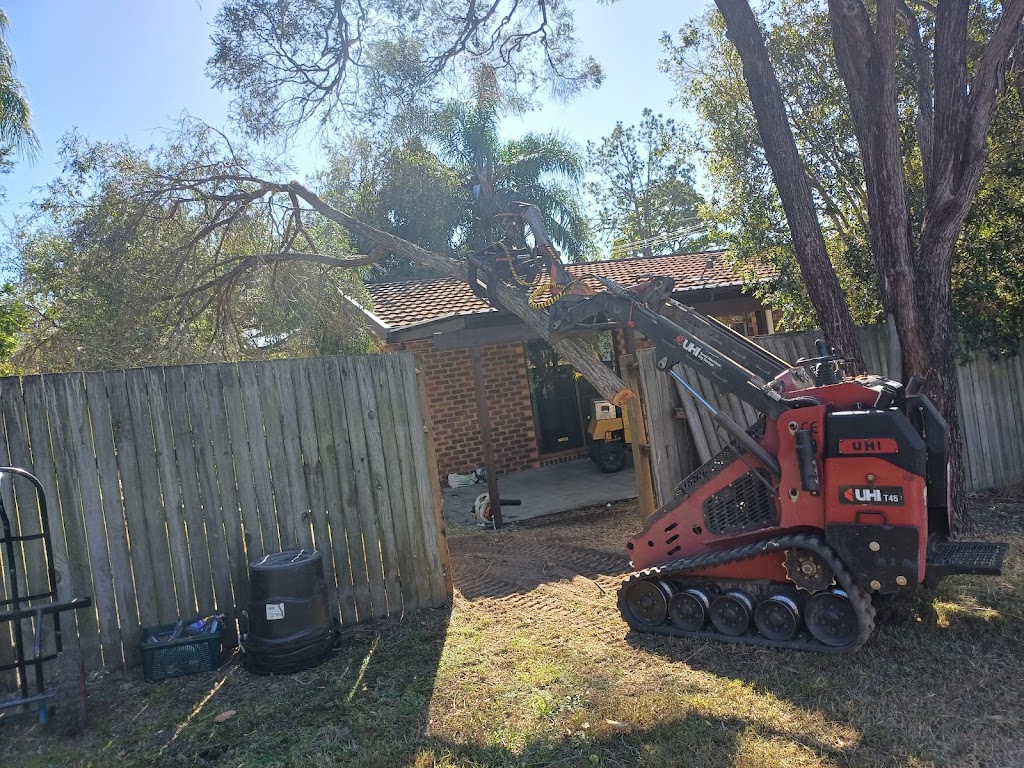 TBS Trees VIC | 152 Taylor St, Ascot VIC 3551, Australia | Phone: 0498 609 887