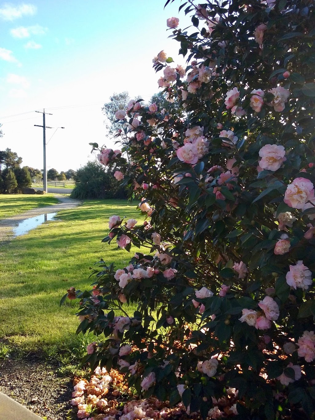 Welshpool Memorial Park and Cenotaph. | 36 Main St, Welshpool VIC 3966, Australia