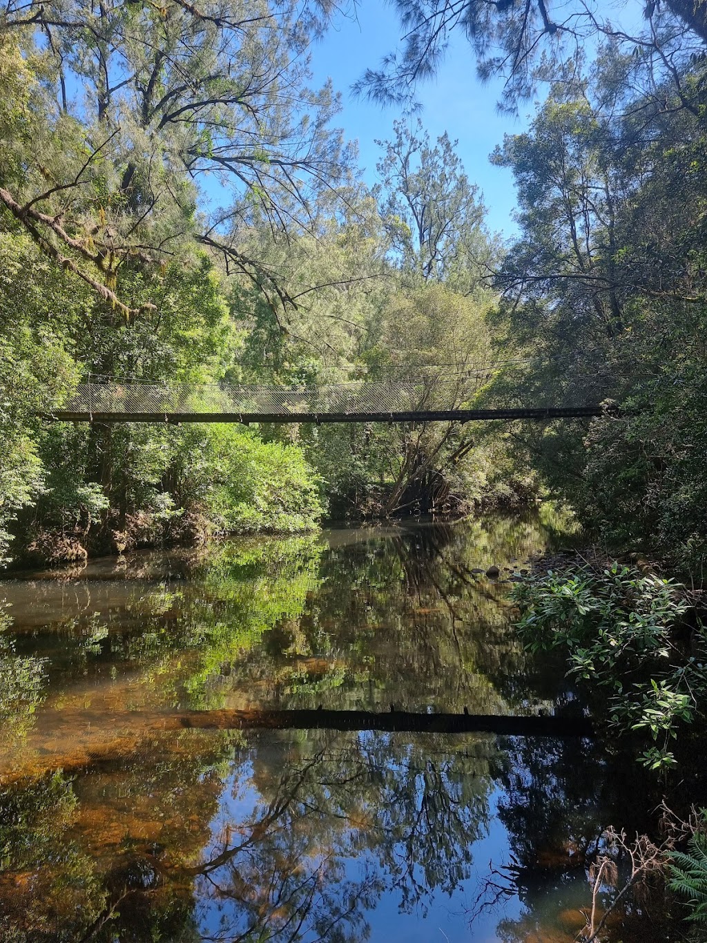 Upper Kangaroo River Suspension Bridge | 8J78+65, Upper Kangaroo River NSW 2577, Australia | Phone: 1300 293 111