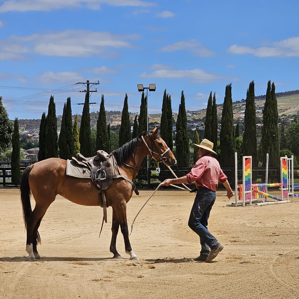 Equus Nexus | Anakie VIC 3213, Australia | Phone: 0428 446 717